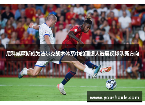 尼科威廉斯成为法尔克战术体系中的理想人选展现球队新方向